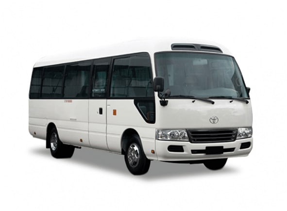 33 seater.png