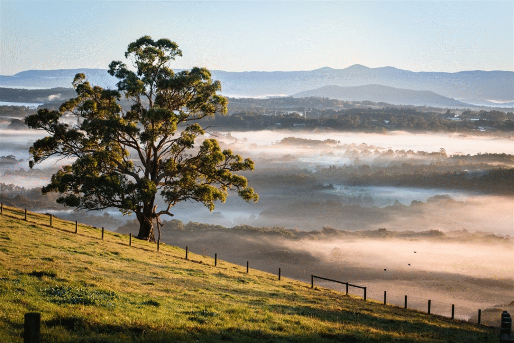 Exploring Melbourne’s Yarra Ranges Suburbs – Shire of Yarra Ranges